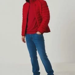 WELLENSTEYN Steppjacke "Molecule", Stehkragen, Emblem, Uni, Für Herren RED -Galeria Geschäft unnamed file 1091