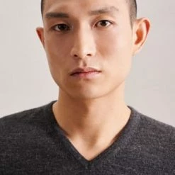 Seidensticker Pullover Schwarze Rose Grau 4 Seidensticker Pullover Schwarze Rose Grau -Galeria Geschäft unnamed file 1656