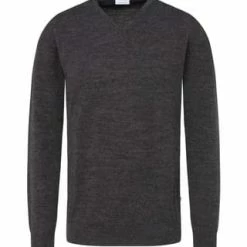 Seidensticker Pullover Schwarze Rose Grau 8 Seidensticker Pullover Schwarze Rose Grau -Galeria Geschäft unnamed file 1660