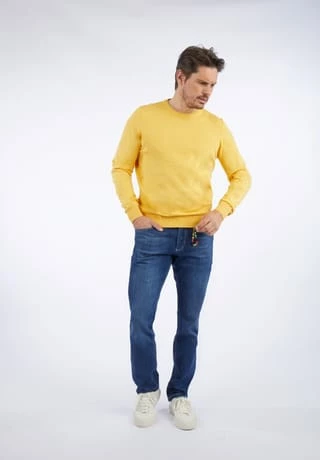 DANIEL HECHTER Rundhalspullover Yellow 4 DANIEL HECHTER Rundhalspullover Yellow – Bild 2