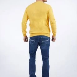 DANIEL HECHTER Rundhalspullover Yellow 10 DANIEL HECHTER Rundhalspullover Yellow -Galeria Geschäft unnamed file 1931