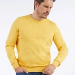 DANIEL HECHTER Rundhalspullover Yellow 11 DANIEL HECHTER Rundhalspullover Yellow -Galeria Geschäft unnamed file 1932