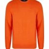 DANIEL HECHTER Rundhalspullover Orange 1 DANIEL HECHTER Rundhalspullover Orange -Galeria Geschäft unnamed file 1933