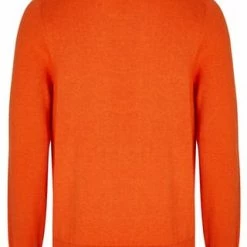 DANIEL HECHTER Rundhalspullover Orange 9 DANIEL HECHTER Rundhalspullover Orange -Galeria Geschäft unnamed file 1935