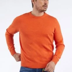 DANIEL HECHTER Rundhalspullover Orange 11 DANIEL HECHTER Rundhalspullover Orange -Galeria Geschäft unnamed file 1937